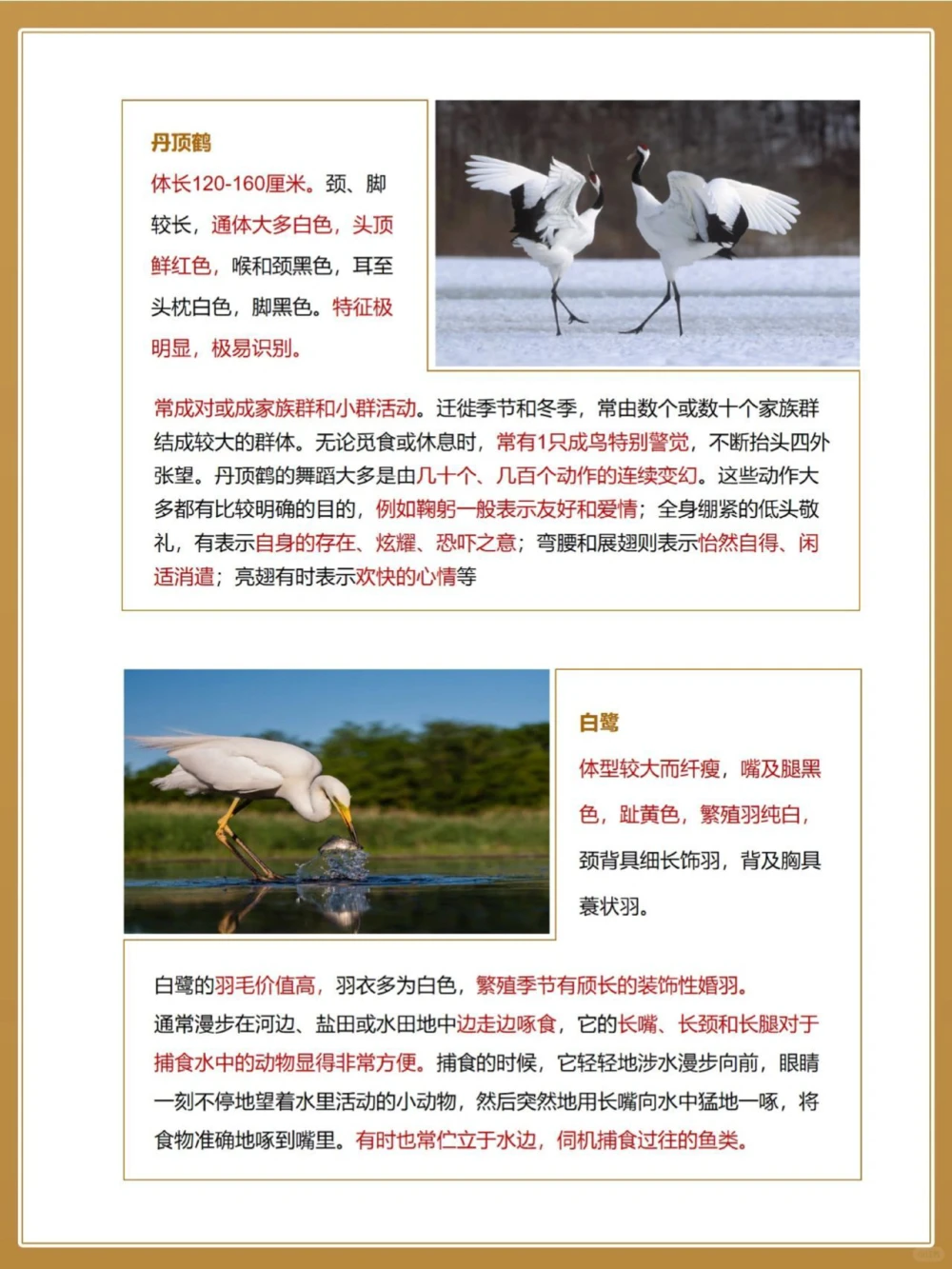 自然科普秋季候鸟图鉴亲子百科小知识_中小学精品资料(高清可打印)_百科知识大全集312份高清资料整理版