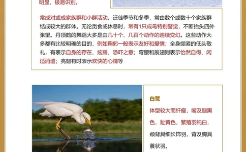 自然科普秋季候鸟图鉴亲子百科小知识_中小学精品资料(高清可打印)_百科知识大全集312份高清资料整理版