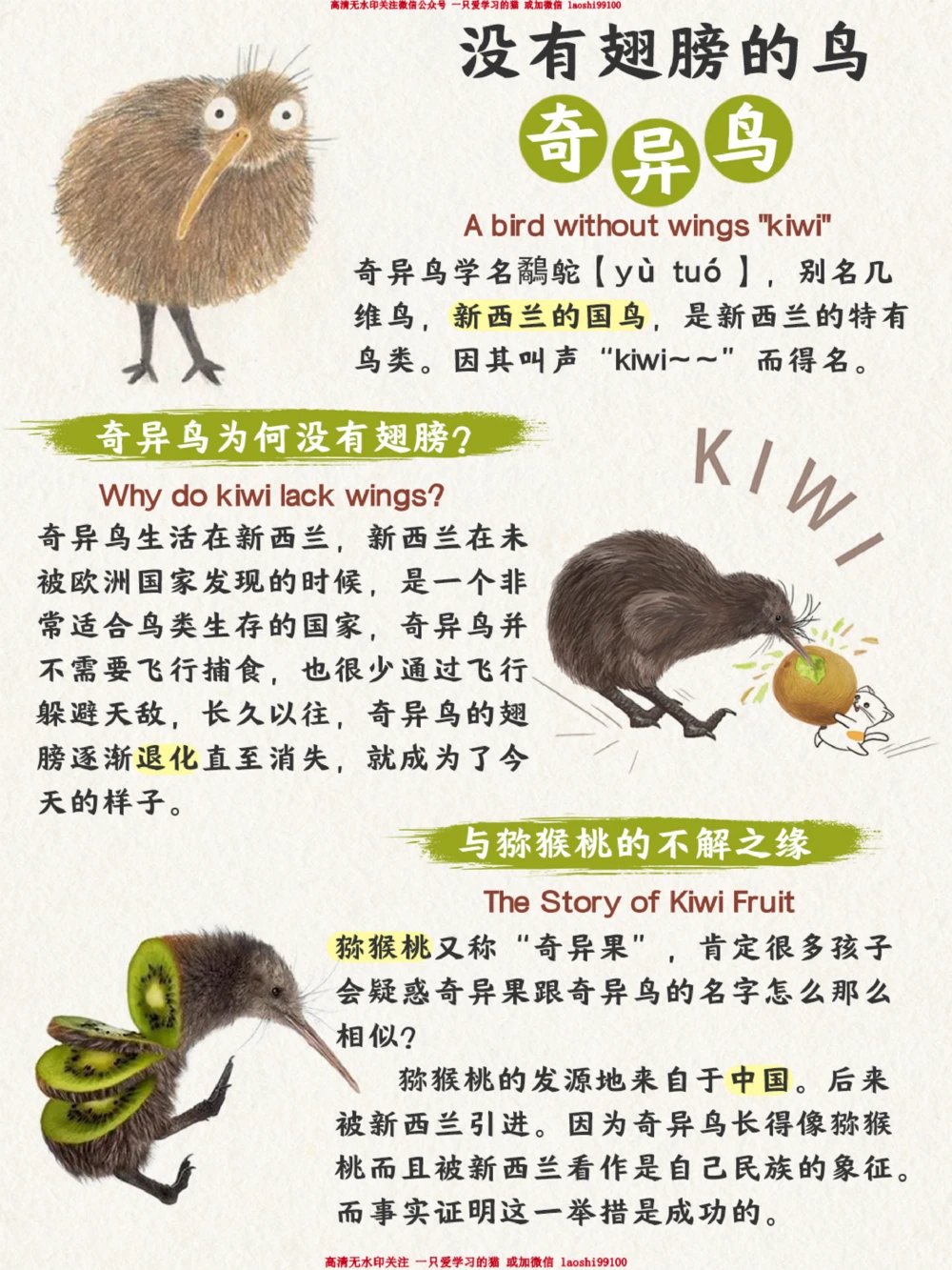 自然科普不能飞翔的鸟却是禁毒宣传大使_2025抖音最火小学全科全年级资料大全集超完整版_小学常识VIP资源禁止外传