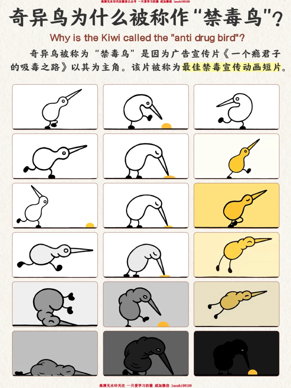 自然科普不能飞翔的鸟却是禁毒宣传大使_2025抖音最火小学全科全年级资料大全集超完整版_小学常识VIP资源禁止外传