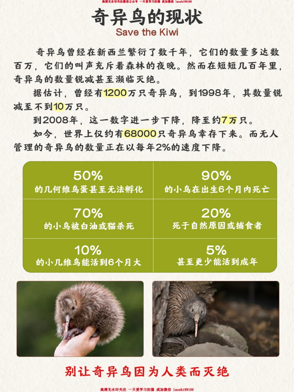 自然科普不能飞翔的鸟却是禁毒宣传大使_2025抖音最火小学全科全年级资料大全集超完整版_小学常识VIP资源禁止外传