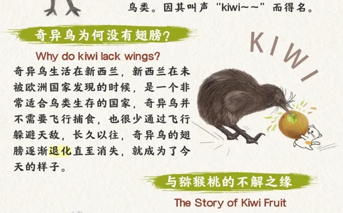 自然科普不能飞翔的鸟却是禁毒宣传大使_2025抖音最火小学全科全年级资料大全集超完整版_小学常识VIP资源禁止外传