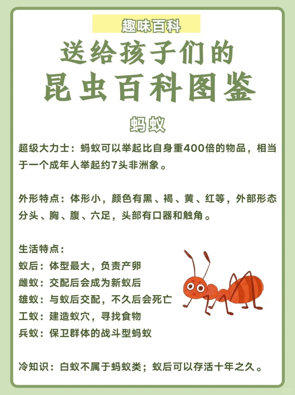 讲给孩子听️昆虫百科图鉴_中小学精品资料(高清可打印)_百科知识大全集312份高清资料整理版