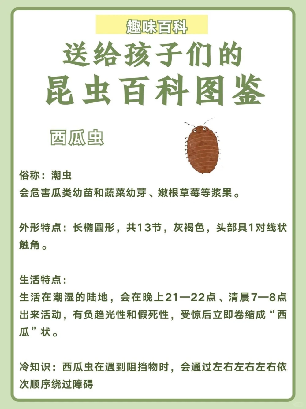 讲给孩子听️昆虫百科图鉴_中小学精品资料(高清可打印)_百科知识大全集312份高清资料整理版