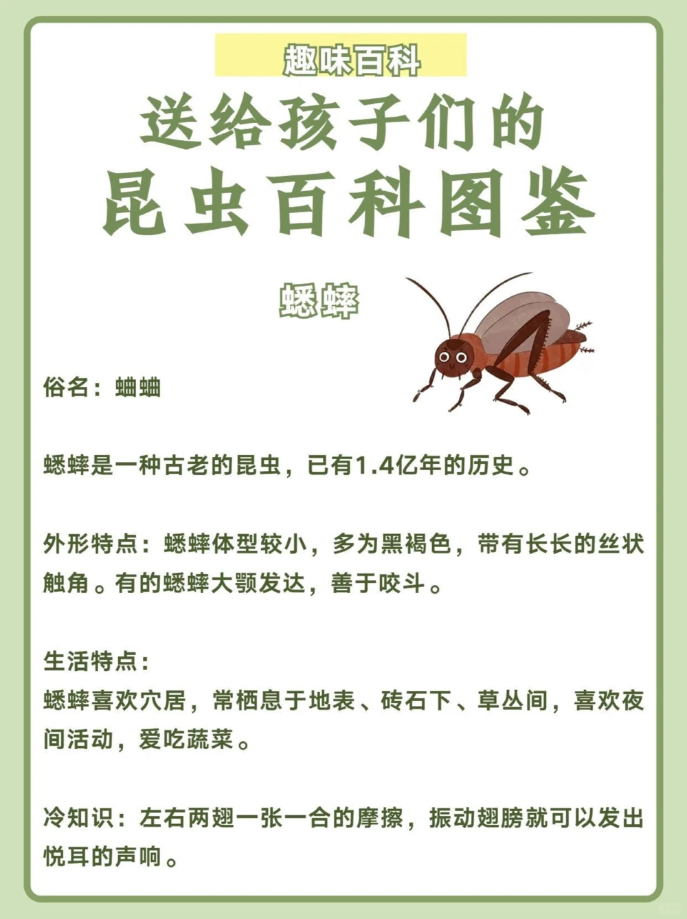 讲给孩子听️昆虫百科图鉴_中小学精品资料(高清可打印)_百科知识大全集312份高清资料整理版
