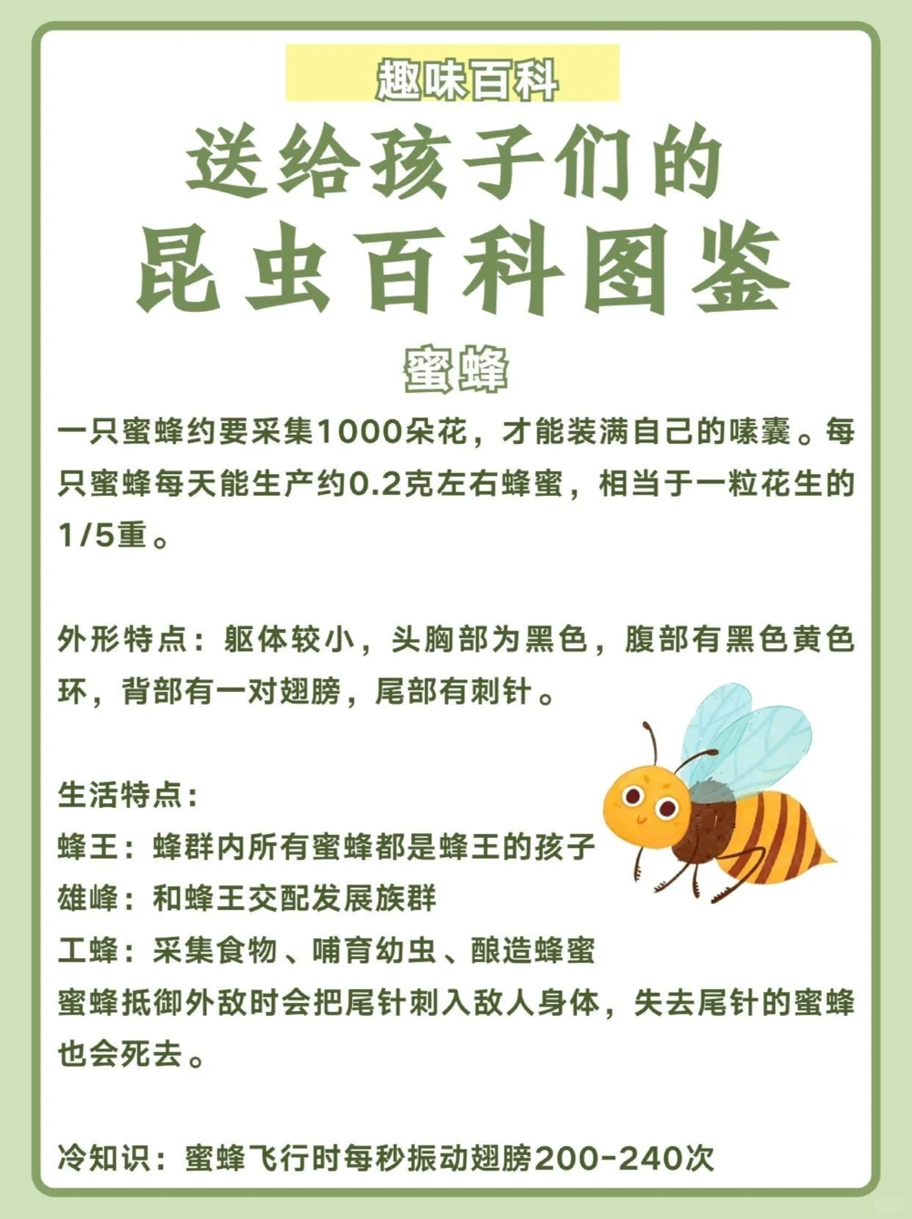 讲给孩子听️昆虫百科图鉴_中小学精品资料(高清可打印)_百科知识大全集312份高清资料整理版