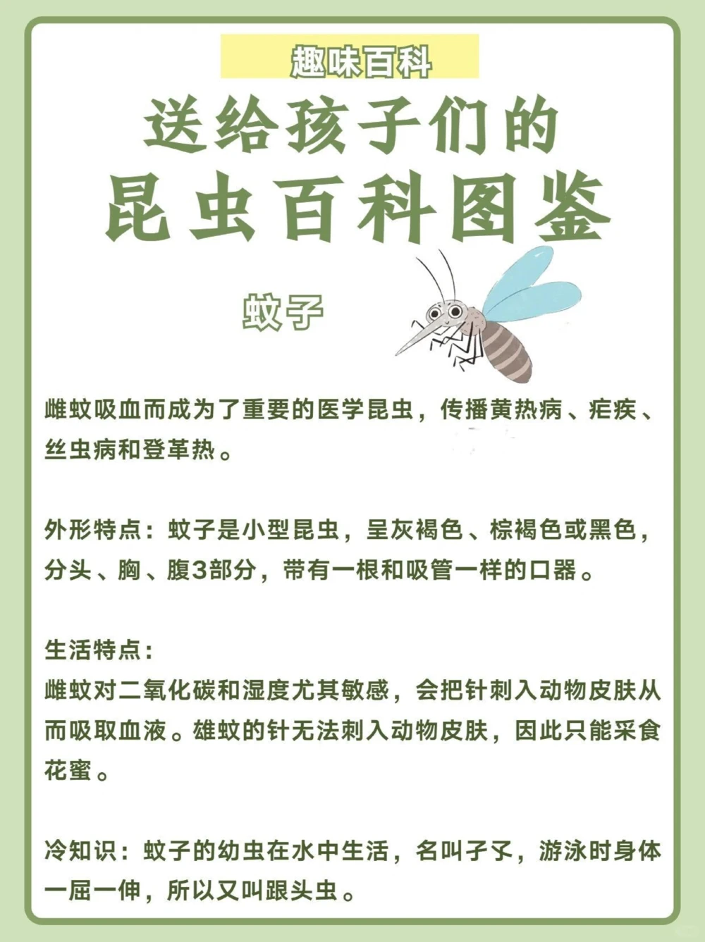讲给孩子听️昆虫百科图鉴_中小学精品资料(高清可打印)_百科知识大全集312份高清资料整理版