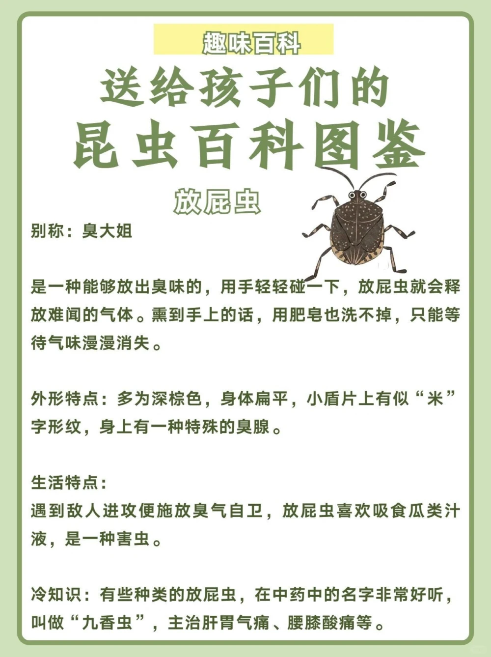 讲给孩子听️昆虫百科图鉴_中小学精品资料(高清可打印)_百科知识大全集312份高清资料整理版