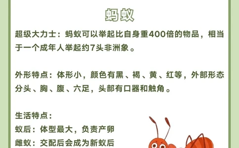 讲给孩子听️昆虫百科图鉴_中小学精品资料(高清可打印)_百科知识大全集312份高清资料整理版