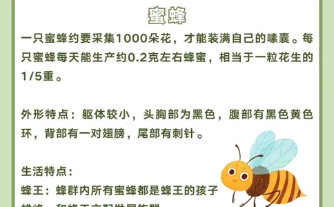 讲给孩子听️昆虫百科图鉴_中小学精品资料(高清可打印)_百科知识大全集312份高清资料整理版