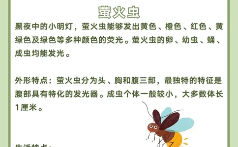 讲给孩子听️昆虫百科图鉴_中小学精品资料(高清可打印)_百科知识大全集312份高清资料整理版