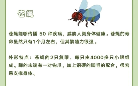 讲给孩子听️昆虫百科图鉴_中小学精品资料(高清可打印)_百科知识大全集312份高清资料整理版