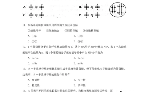 2008年高考生物试卷（上海）（空白卷）_生物历年高考真题_新&middot;Word版2008-2025&middot;高考生物真题_生物（按试卷类型分类）2008-2025_自主命题卷&middot;生物（2008-2025）_上海自主命题&middot;生物（2008-2022）