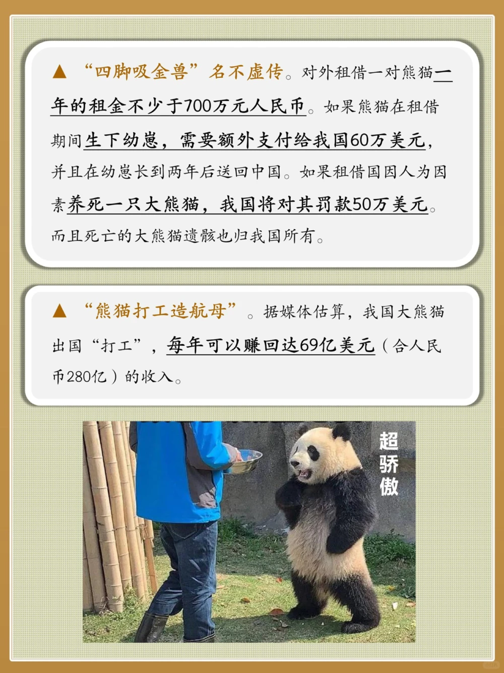 熊猫外交史为国卖萌，义不容辞！_中小学精品资料(高清可打印)_百科知识大全集312份高清资料整理版