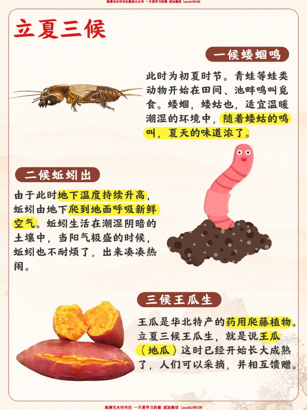 立夏要来了-时至立夏，万物繁茂_2025抖音最火小学全科全年级资料大全集超完整版_小学常识VIP资源禁止外传