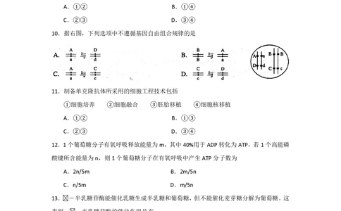 2008年高考生物试卷（上海）（解析卷）_生物历年高考真题_新&middot;PDF版2008-2025&middot;高考生物真题_生物（按年份分类）2008-2025_2008&middot;高考生物真题