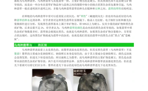 乌鸡种翡翠_X018-玉石珠宝鉴定教程最新合集_8、玉石翡翠鉴定与投资电子资料_赌石专题