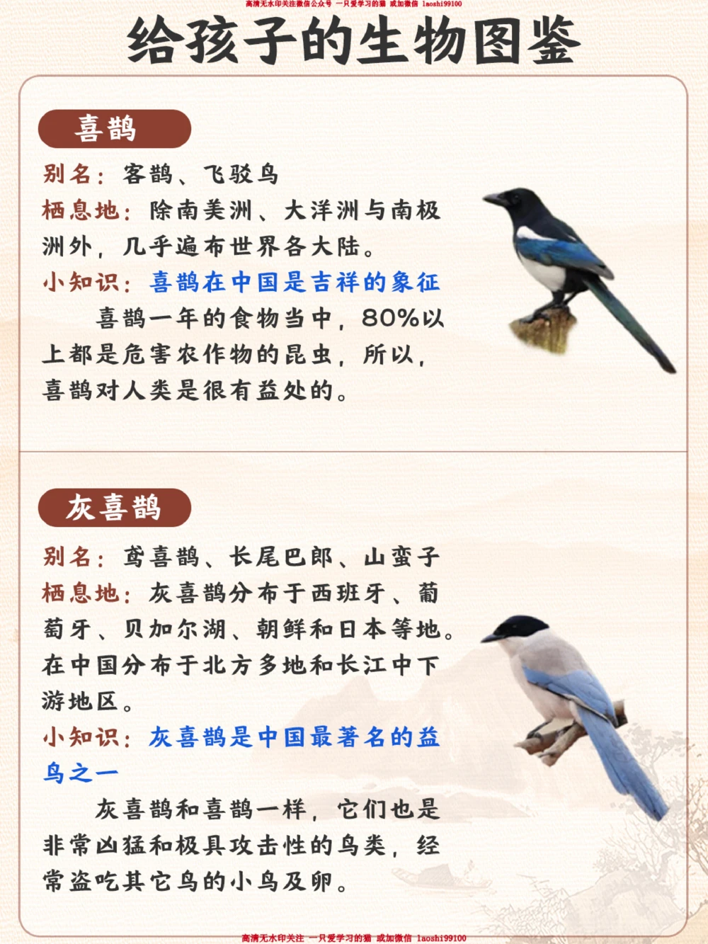 每天认识一种动物-智商超高的小可爱_2025抖音最火小学全科全年级资料大全集超完整版_小学常识VIP资源禁止外传