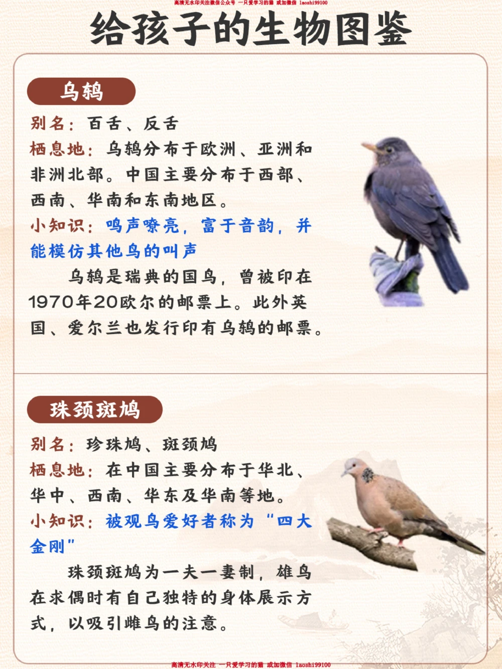 每天认识一种动物-智商超高的小可爱_2025抖音最火小学全科全年级资料大全集超完整版_小学常识VIP资源禁止外传