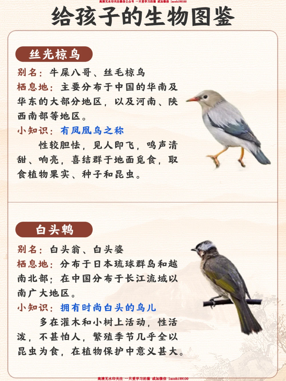 每天认识一种动物-智商超高的小可爱_2025抖音最火小学全科全年级资料大全集超完整版_小学常识VIP资源禁止外传