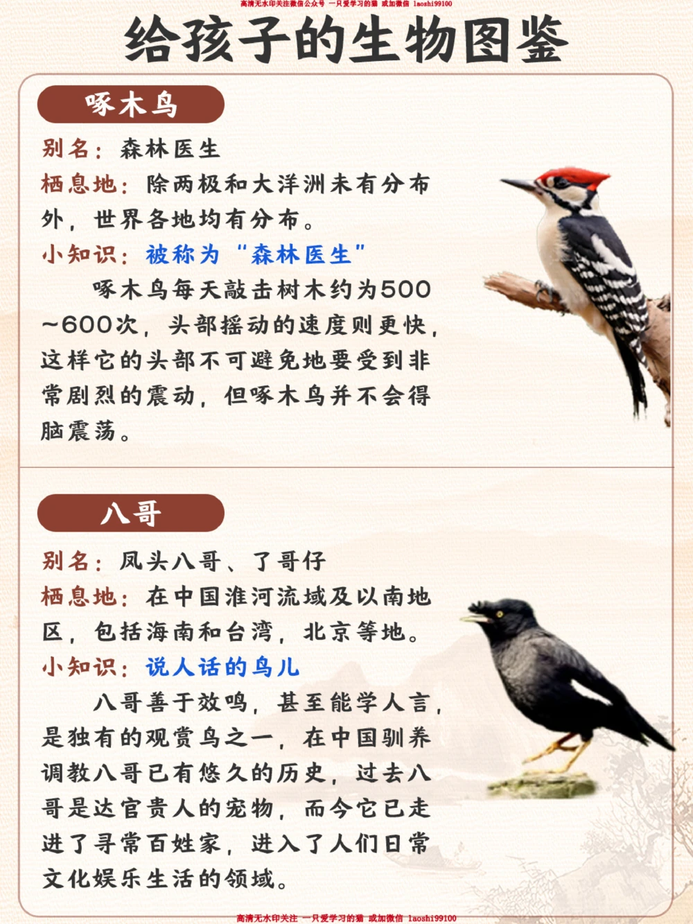 每天认识一种动物-智商超高的小可爱_2025抖音最火小学全科全年级资料大全集超完整版_小学常识VIP资源禁止外传