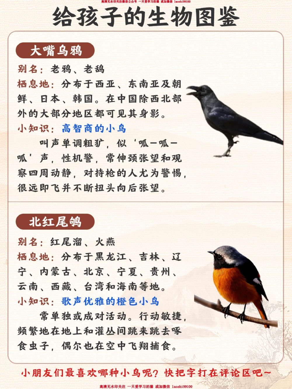 每天认识一种动物-智商超高的小可爱_2025抖音最火小学全科全年级资料大全集超完整版_小学常识VIP资源禁止外传