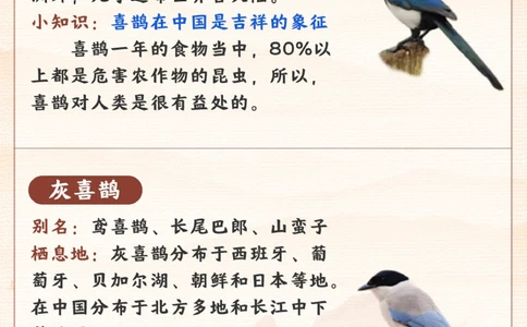 每天认识一种动物-智商超高的小可爱_2025抖音最火小学全科全年级资料大全集超完整版_小学常识VIP资源禁止外传