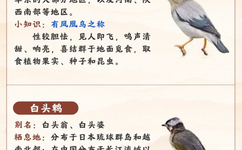 每天认识一种动物-智商超高的小可爱_2025抖音最火小学全科全年级资料大全集超完整版_小学常识VIP资源禁止外传