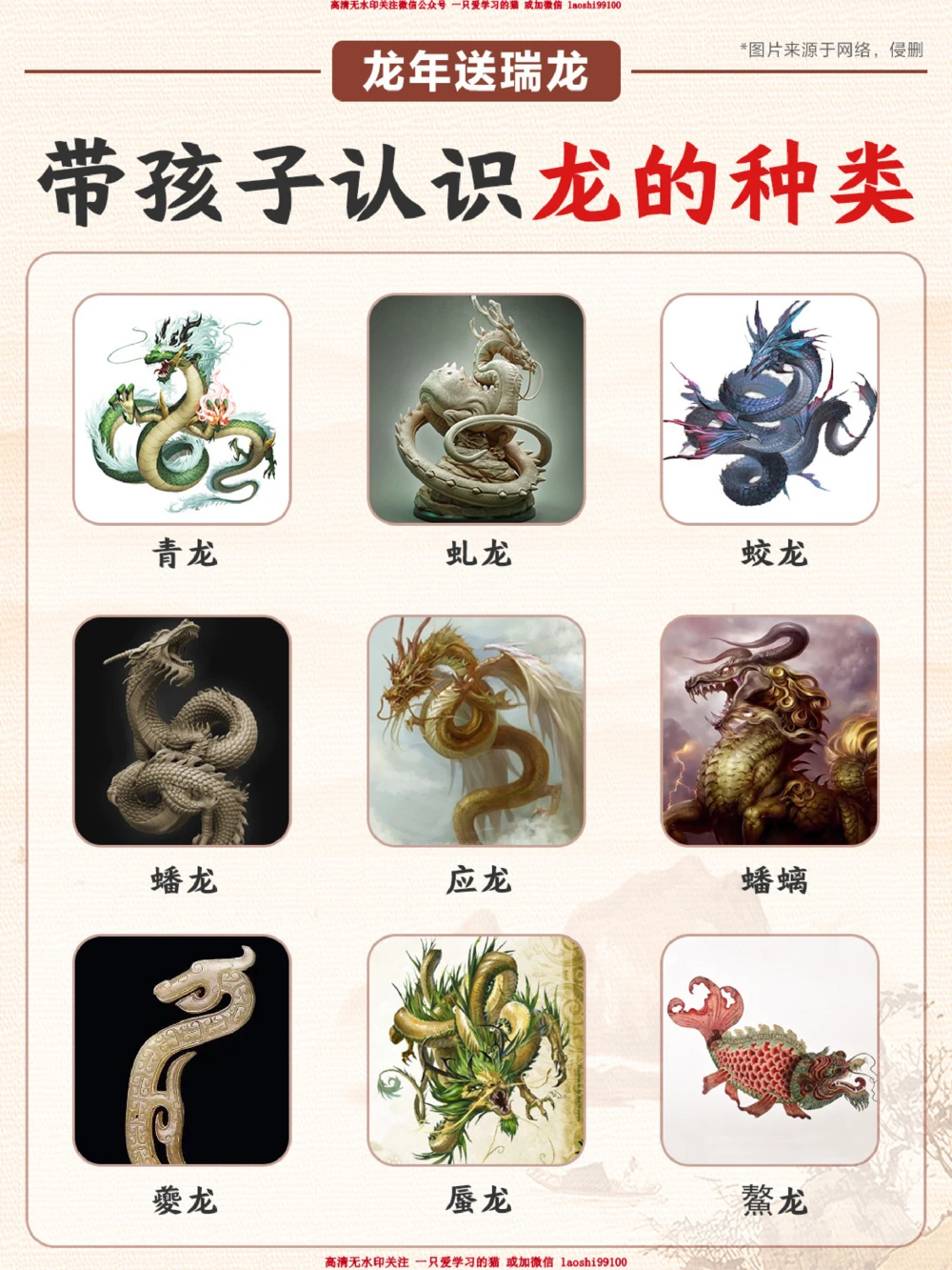 龙年送瑞龙-带孩子认识龙的种类_2025抖音最火小学全科全年级资料大全集超完整版_小学语文VIP资源禁止外传