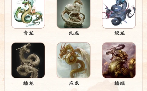 龙年送瑞龙-带孩子认识龙的种类_2025抖音最火小学全科全年级资料大全集超完整版_小学语文VIP资源禁止外传