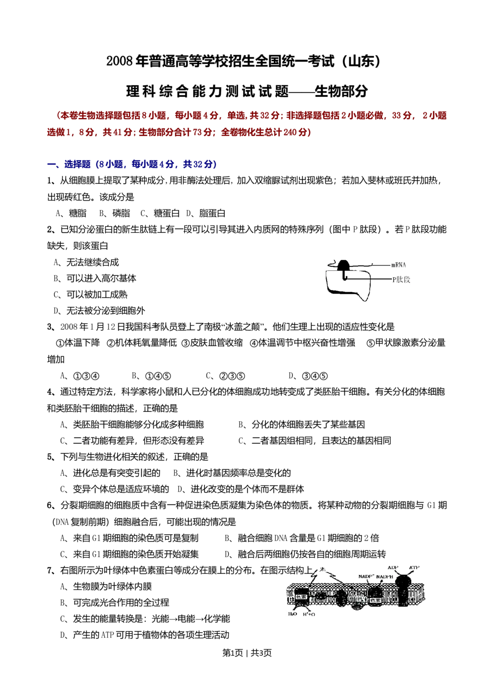 2008年高考生物试卷（山东）（空白卷）_生物历年高考真题_新&middot;Word版2008-2025&middot;高考生物真题_生物（按省份分类）2008-2025_2008-2025&middot;（山东）生物高考真题