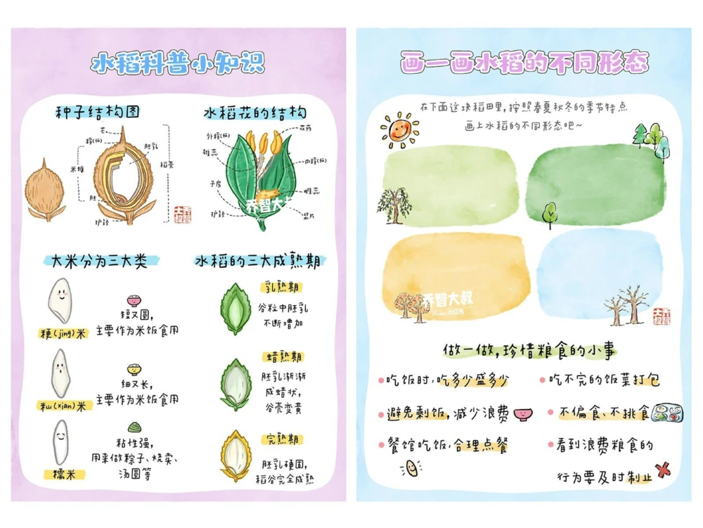给孩子们的水稻生长观察手册_中小学精品资料(高清可打印)_常识知识大全集140份高清资料整理版