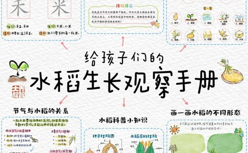 给孩子们的水稻生长观察手册_中小学精品资料(高清可打印)_常识知识大全集140份高清资料整理版