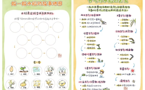 给孩子们的水稻生长观察手册_中小学精品资料(高清可打印)_常识知识大全集140份高清资料整理版
