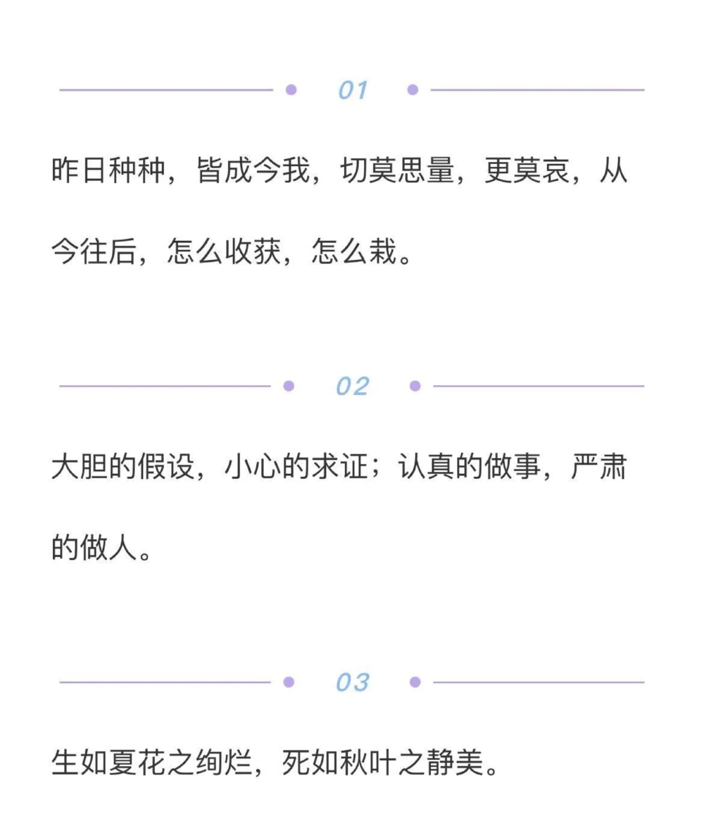 高中优秀作文范文摘抄《纵有疾风起，人生不言弃》#高中#作文#高三#抖音图文来了_中小学精品资料(高清可打印)_初中大全集高清资料整理版