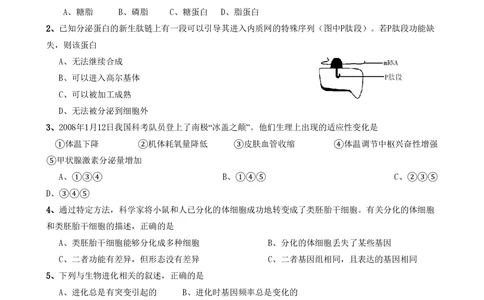 2008年高考生物试卷（山东）（空白卷）_生物历年高考真题_新&middot;PDF版2008-2025&middot;高考生物真题_生物（按省份分类）2008-2025_2008-2025&middot;（山东）生物高考真题
