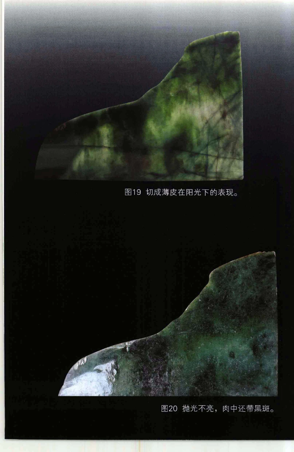 以小博大千元百元和无钱的..._X018-玉石珠宝鉴定教程最新合集_6、翡翠鉴定专题全套课程_翡翠电子书_翡翠鉴赏_41-50