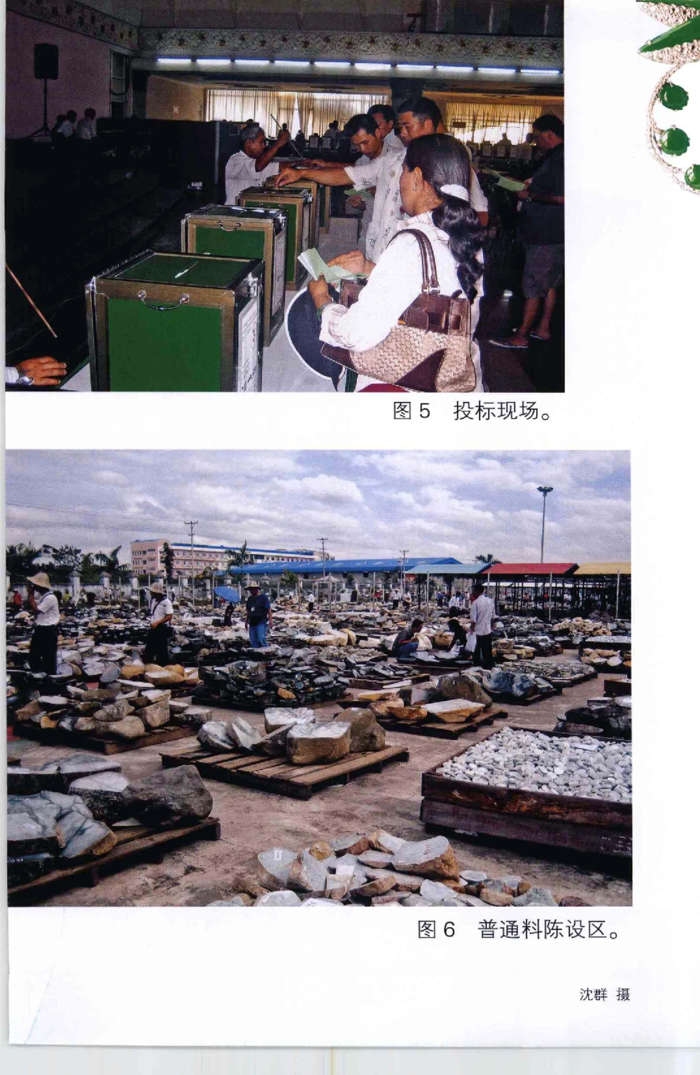 以小博大千元百元和无钱的..._X018-玉石珠宝鉴定教程最新合集_6、翡翠鉴定专题全套课程_翡翠电子书_翡翠鉴赏_41-50