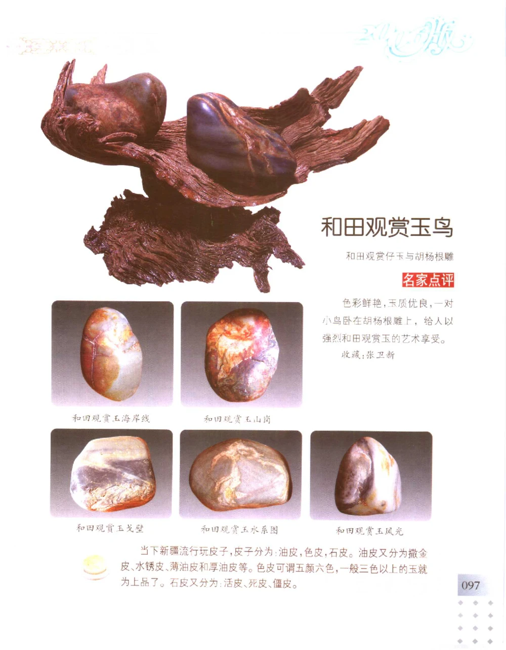 中国新疆和田玉百家民间精品录2006版__X018-玉石珠宝鉴定教程最新合集_7、和田玉鉴定专题全套课程_和田玉电子书