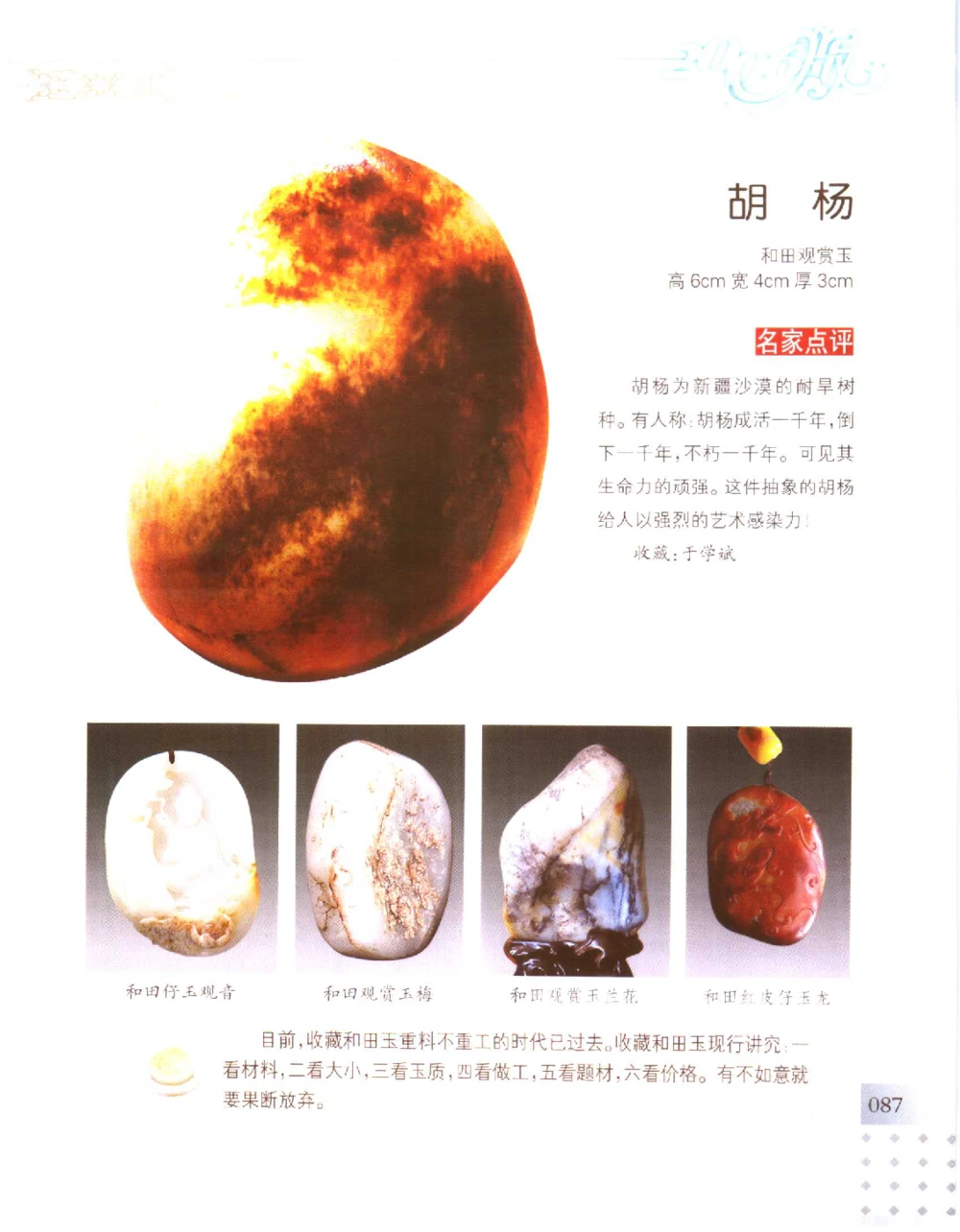 中国新疆和田玉百家民间精品录2006版__X018-玉石珠宝鉴定教程最新合集_7、和田玉鉴定专题全套课程_和田玉电子书