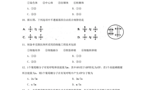 2008年高考生物试卷（上海）（空白卷）_生物历年高考真题_新&middot;PDF版2008-2025&middot;高考生物真题_生物（按年份分类）2008-2025_2008&middot;高考生物真题