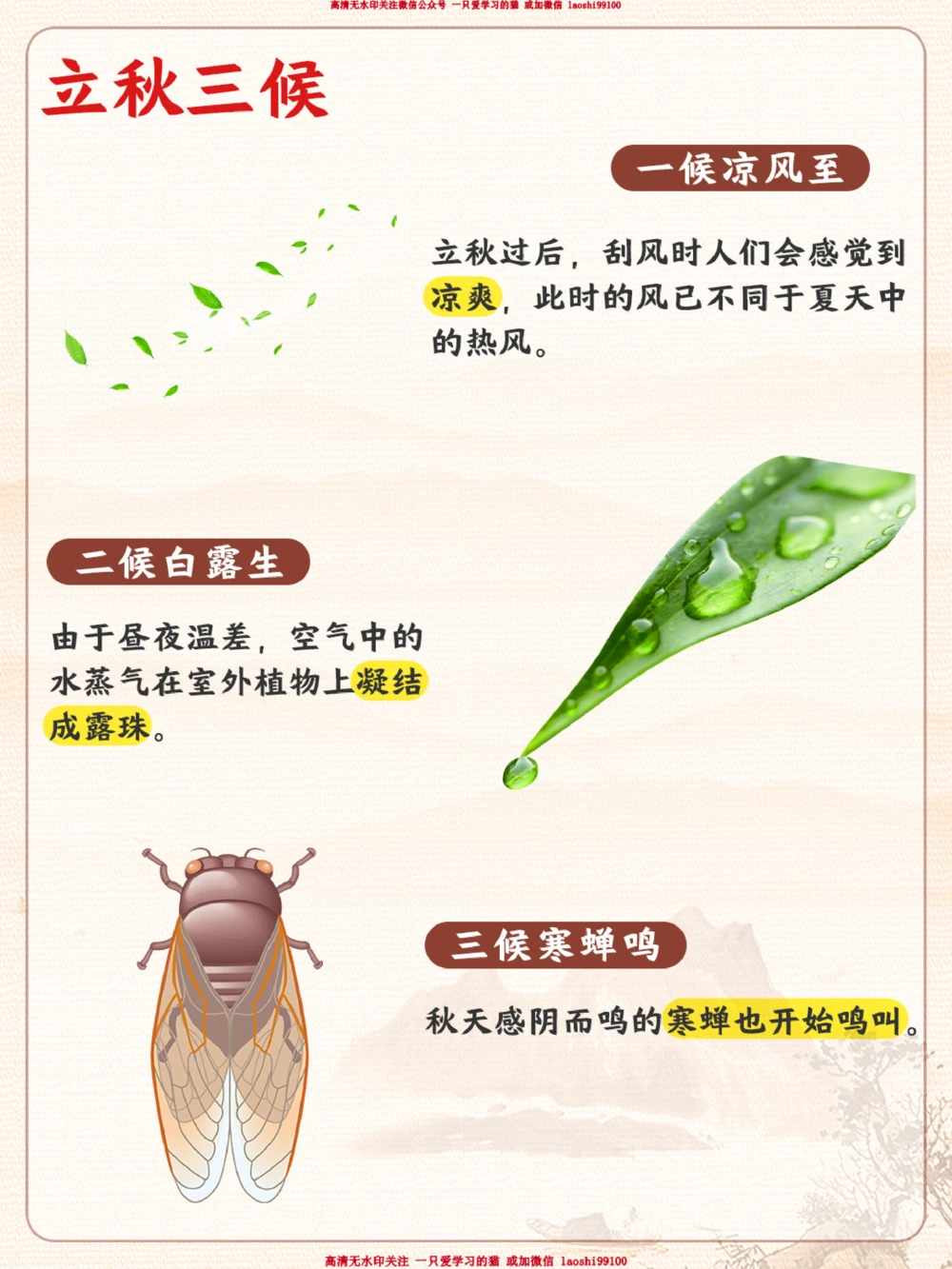 立秋要来了-给孩子讲讲立秋小知识_2025抖音最火小学全科全年级资料大全集超完整版_小学常识VIP资源禁止外传