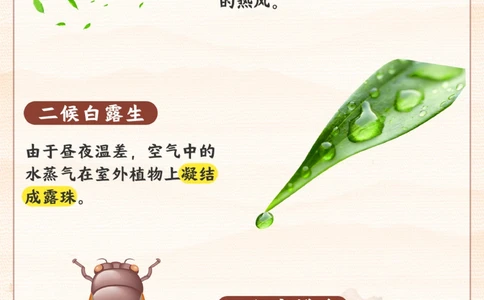 立秋要来了-给孩子讲讲立秋小知识_2025抖音最火小学全科全年级资料大全集超完整版_小学常识VIP资源禁止外传