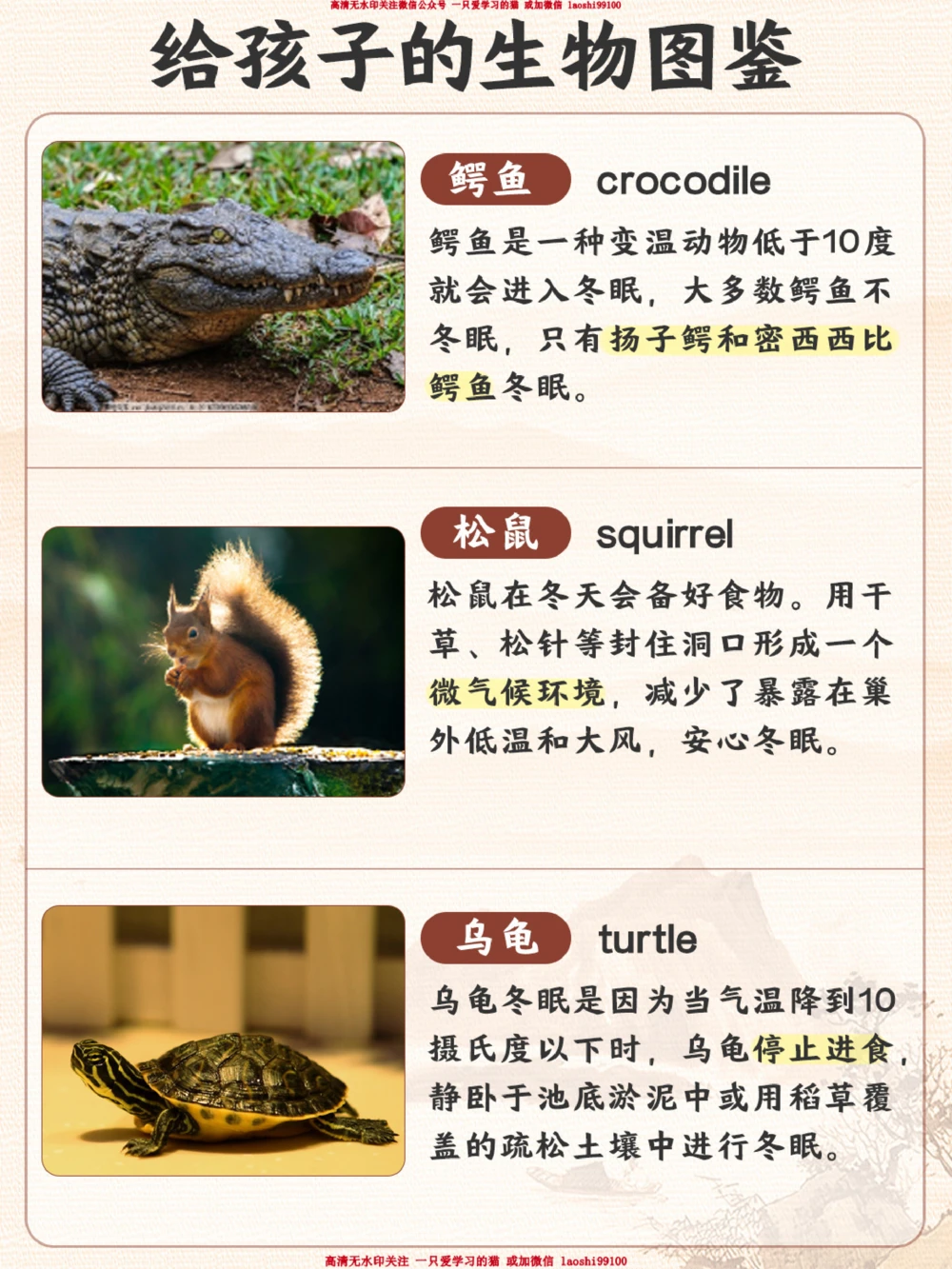 自然科普给孩子们的冬眠动物图鉴_2025抖音最火小学全科全年级资料大全集超完整版_小学常识VIP资源禁止外传