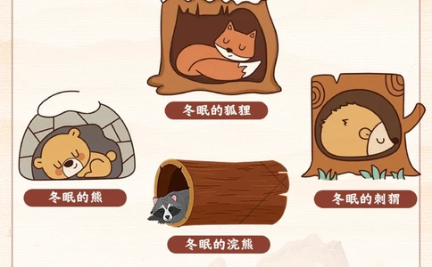自然科普给孩子们的冬眠动物图鉴_2025抖音最火小学全科全年级资料大全集超完整版_小学常识VIP资源禁止外传