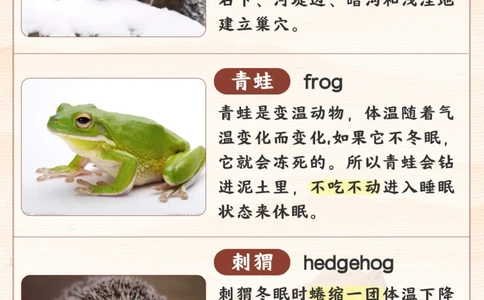 自然科普给孩子们的冬眠动物图鉴_2025抖音最火小学全科全年级资料大全集超完整版_小学常识VIP资源禁止外传