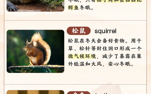 自然科普给孩子们的冬眠动物图鉴_2025抖音最火小学全科全年级资料大全集超完整版_小学常识VIP资源禁止外传