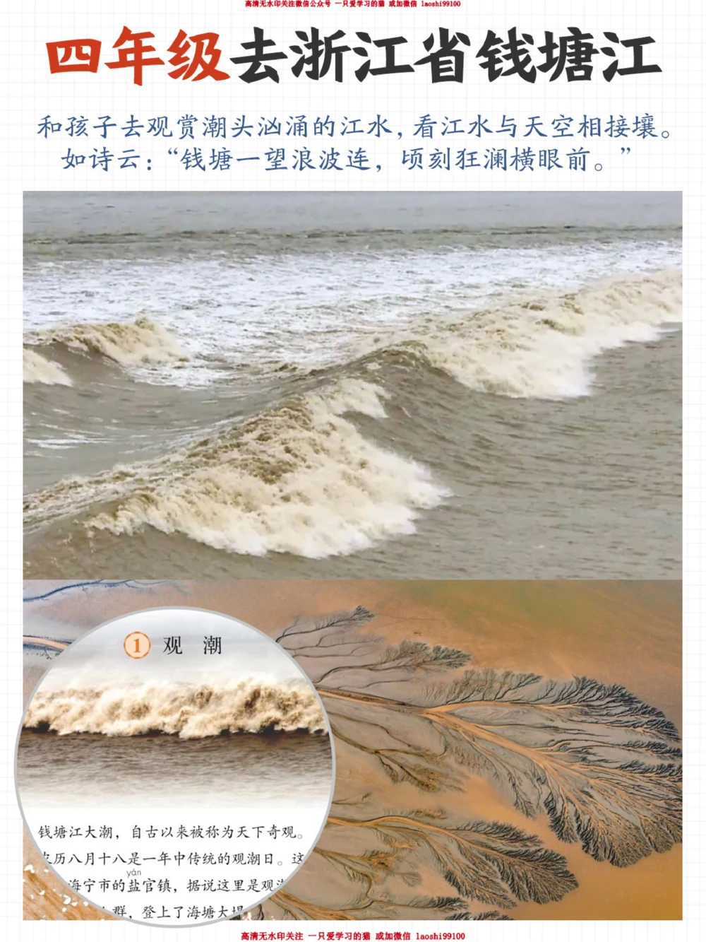 趁着这个假期-跟着课本去旅行吧_2025抖音最火小学全科全年级资料大全集超完整版_小学语文VIP资源禁止外传