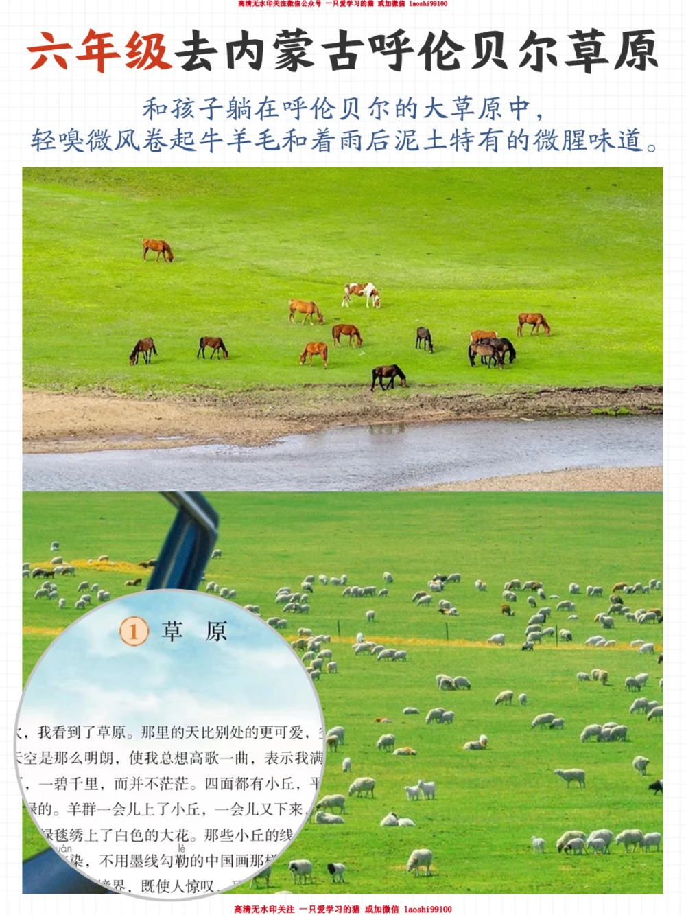 趁着这个假期-跟着课本去旅行吧_2025抖音最火小学全科全年级资料大全集超完整版_小学语文VIP资源禁止外传