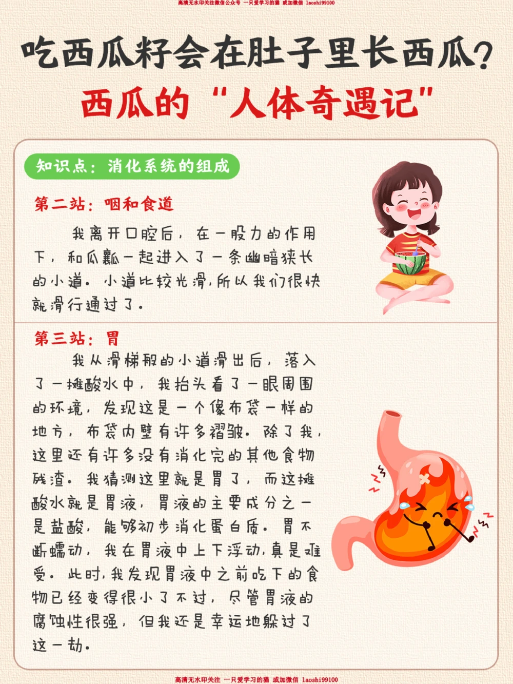 趣味生物-吃了西瓜籽肚子里会长西瓜吗？_2025抖音最火小学全科全年级资料大全集超完整版_小学常识VIP资源禁止外传